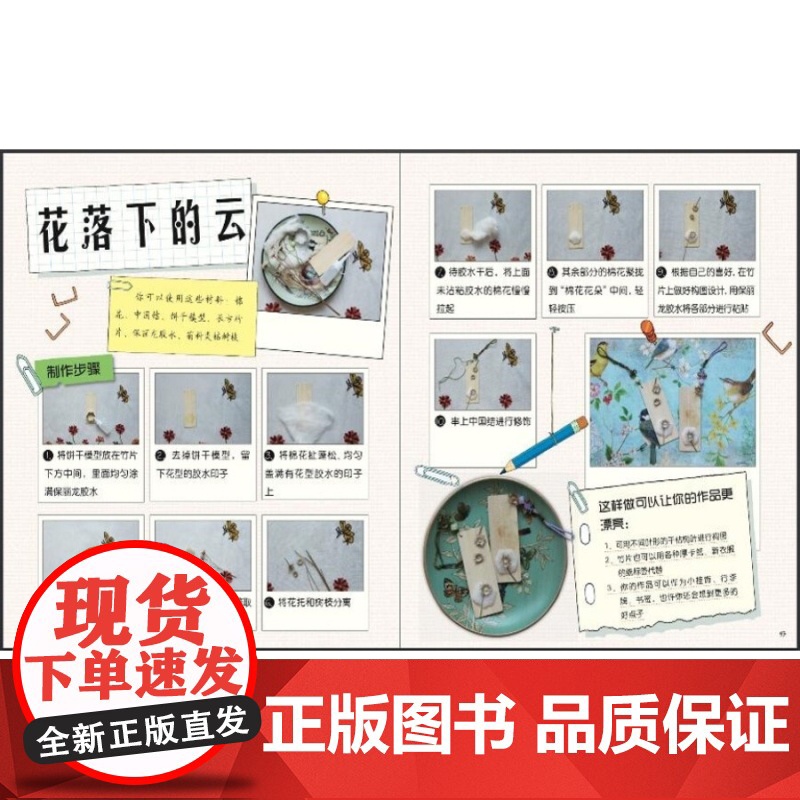 发现植物套装2册 路边的植物 墙角的植物 植物百科 科普读物 自然 科普百科启蒙 少年儿童出版社高清大图