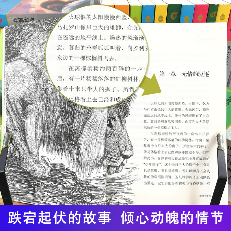 [正版]沈石溪动物小说全集作品全套共4册 王妃黑叶猴 红飘带狮王 雄狮去流浪一只猎雕的遭遇动物小说大王沈石溪品藏书系经