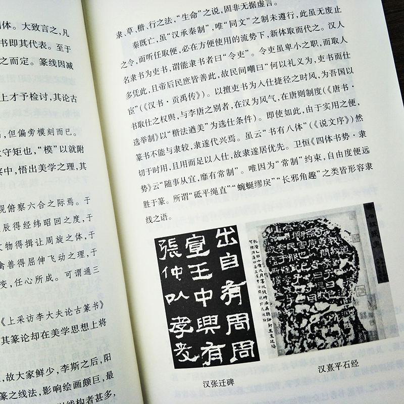 [正版]翰墨清谈 姜澄清论艺术文集 当代著名书画艺术理论家的世界观艺术观书法绘画艺术理论点评图文解析书法绘画艺术爱好者高清大图