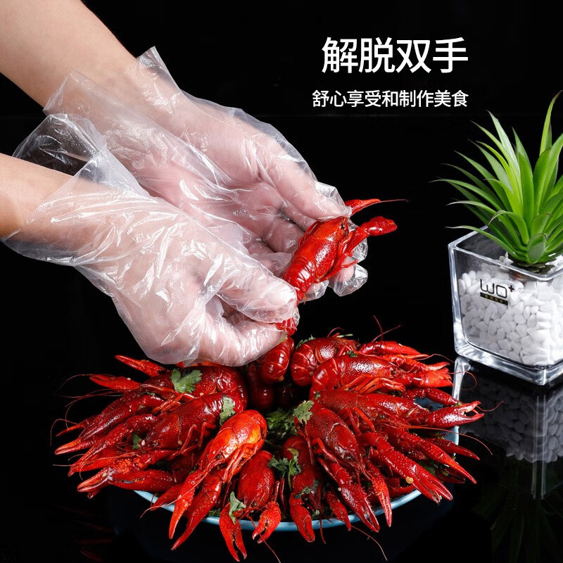 美丽雅 一次性手套100只装/包*6包 75160高清大图