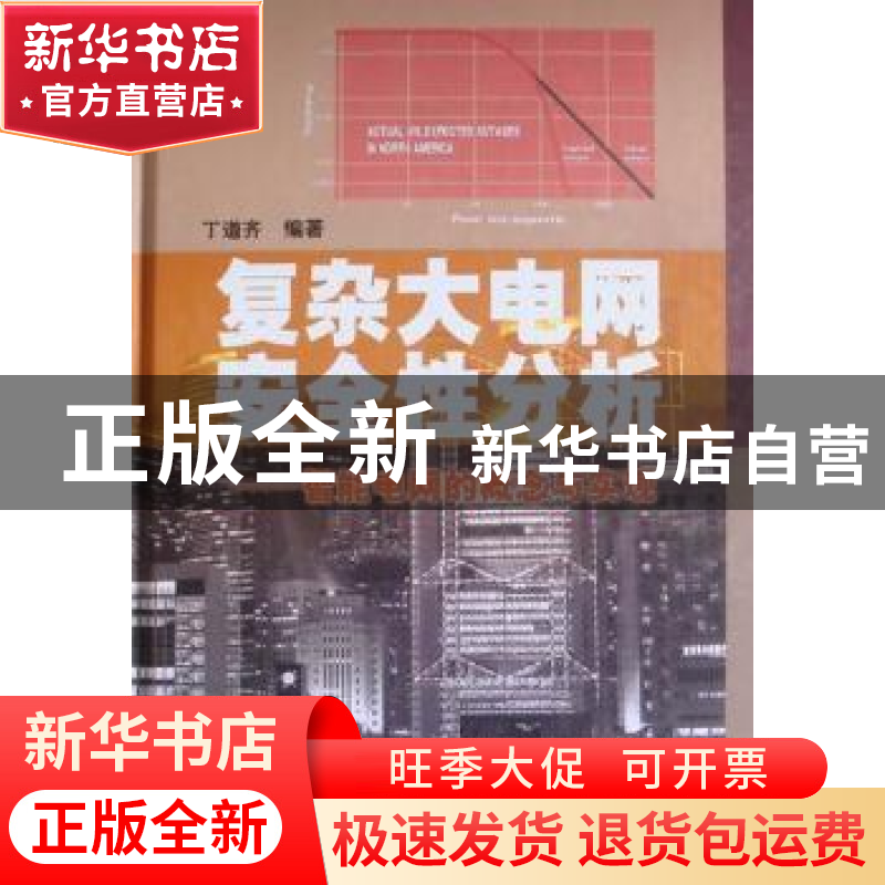 正版 复杂大电网安全性分析:智能电网的概念与实现 丁道齐编著 中高清大图