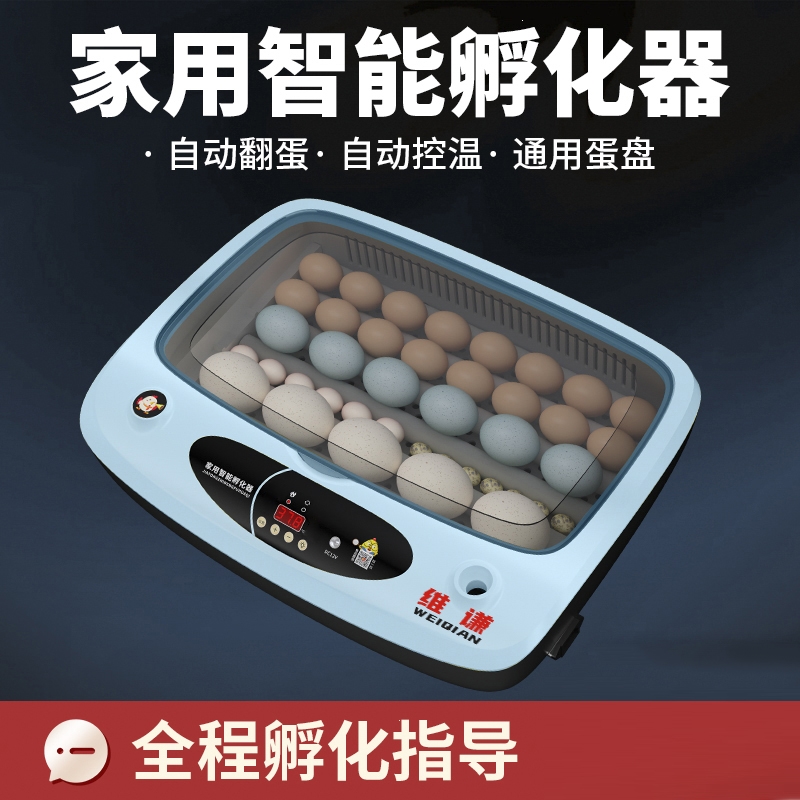 纳丽雅(naliya)孵化机全自动智能孵化器小型家用迷你孵蛋器鸡鸭鹅鸟蛋