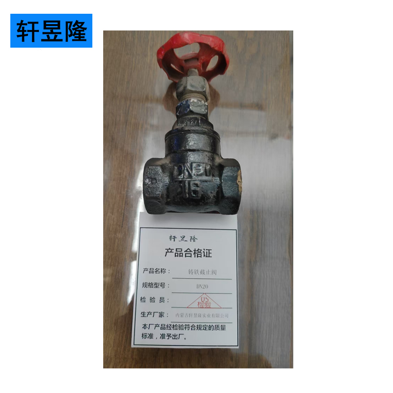 轩昱隆铸铁截止阀DN20/个高清大图