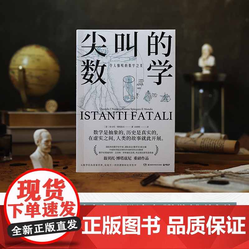 正版书籍 尖叫的数学-令人惊叹的数学之美 数学史专家国际杂志《数学史》前主编翁贝托·博塔兹尼带你从数学的角度看世界高清大图