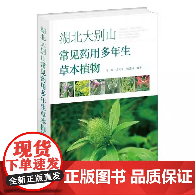 湖北大别山常见药用多年生草本植物向福、方元平、甄爱国 编著化学工业出版社9787122442826医学卫生/药学高清大图