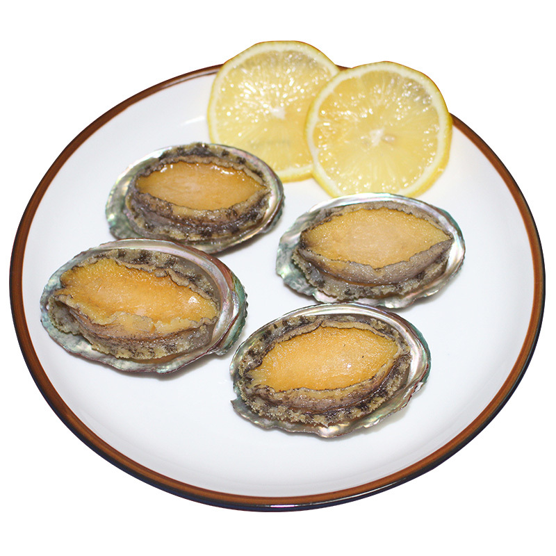 渔鲜世海 活冻鲍鱼200g 盒装8只 星级厨房食材