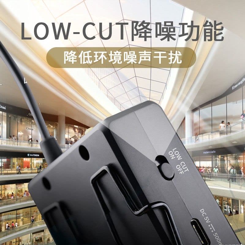 得胜SGC-200W无线小蜜蜂一拖二 手机直播麦克风单反摄像采访话筒图片