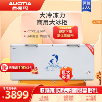 澳柯玛商用大冷柜 卧式冰柜 730升 商用大容量 单温 冷藏冷冻 双开门BC/BD-730