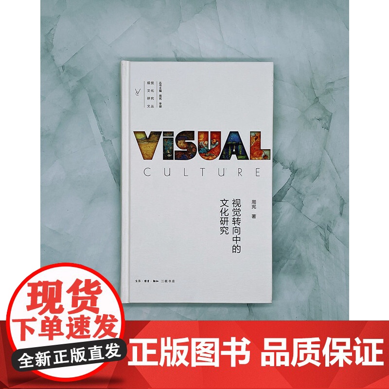 视觉转向中的文化研究(视觉文化研究文丛) 周宪 生活读书新知三联书店 正版书籍高清大图