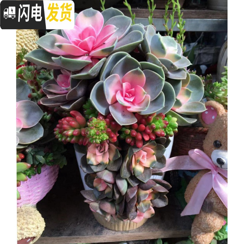 三维工匠创意大号特色划开口缺破口盆老桩植物多肉花盆陶瓷批发 大号棕色缺口花盆 中等花盆容器高清大图