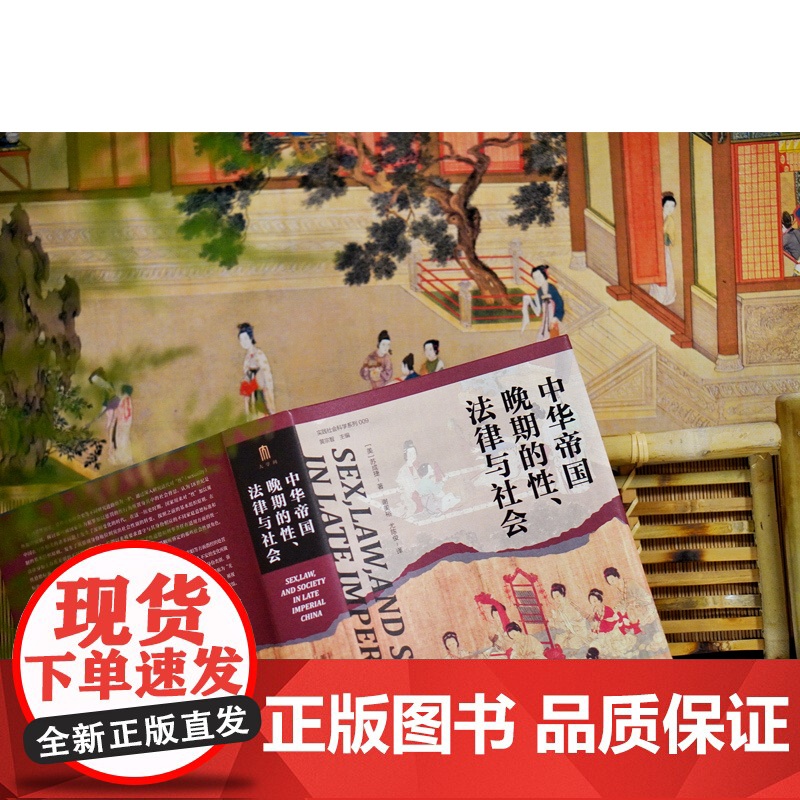 大学问 中华帝国晚期的性、法律与社会 (美)苏成捷/著 实践社会科学系列 法律史 性犯罪问题研究 广西师范大学出版社高清大图