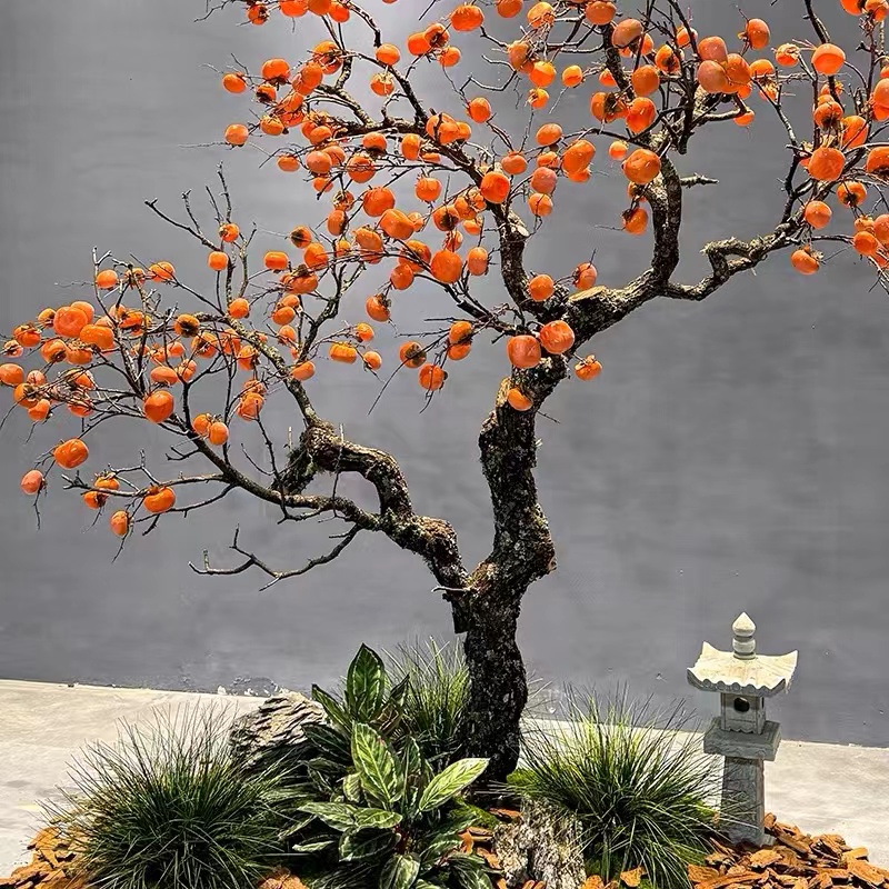 仿真柿子树许愿树落地假树橱窗装饰造景 10棵起售高清大图