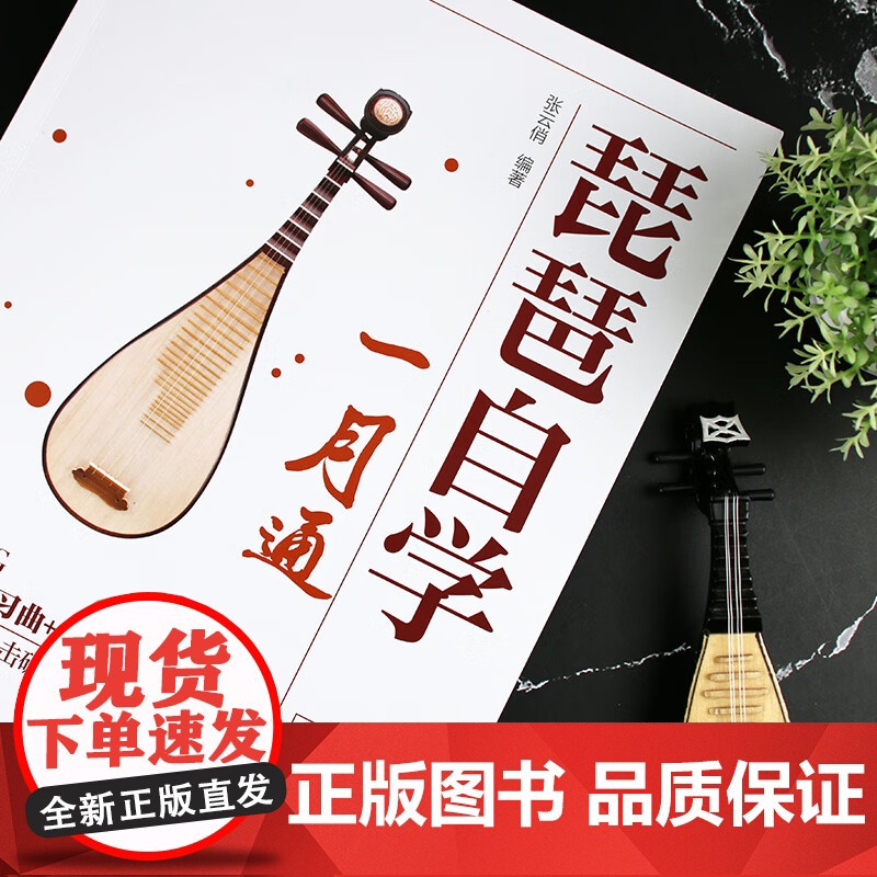 琵琶自学一月通 张云俏 著 音乐高清大图