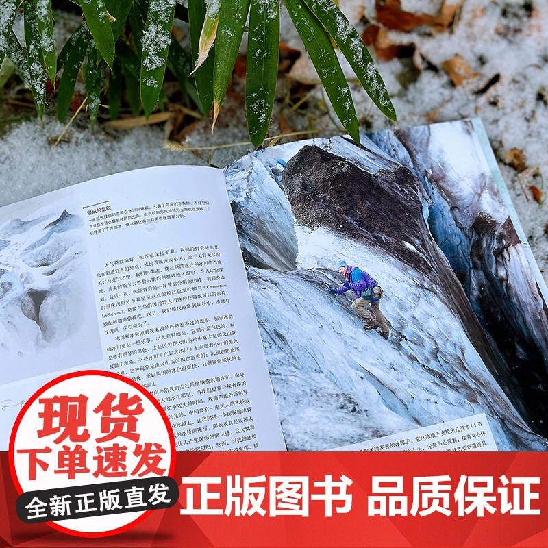 我在北极画速写:冰雪世界的探险之旅 后浪 正版书籍高清大图