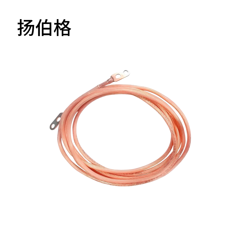 扬伯格 铜护套线 25平方×3m国标双孔线鼻子 根
