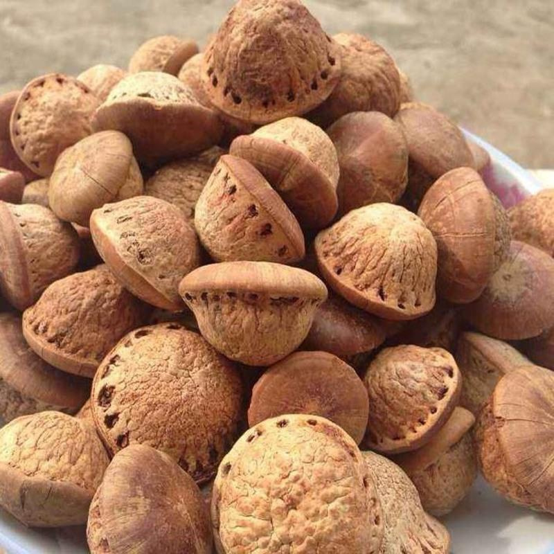 风流果正品子大果天竺粒广西益肾子配阴阳子双肾子泡