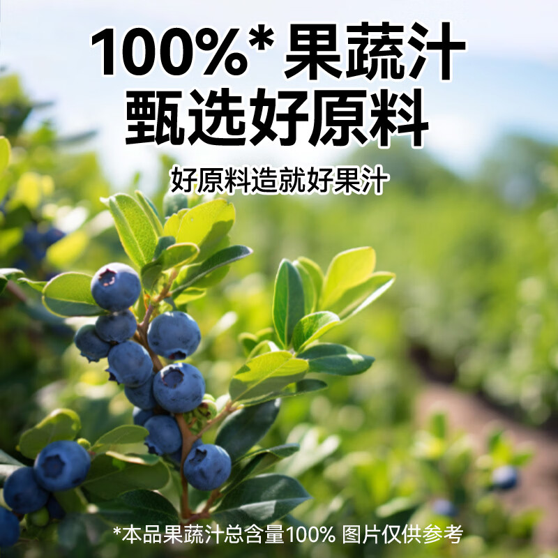 源制所100%NFC混合蓝莓汁200ml*12(瓶)高清大图