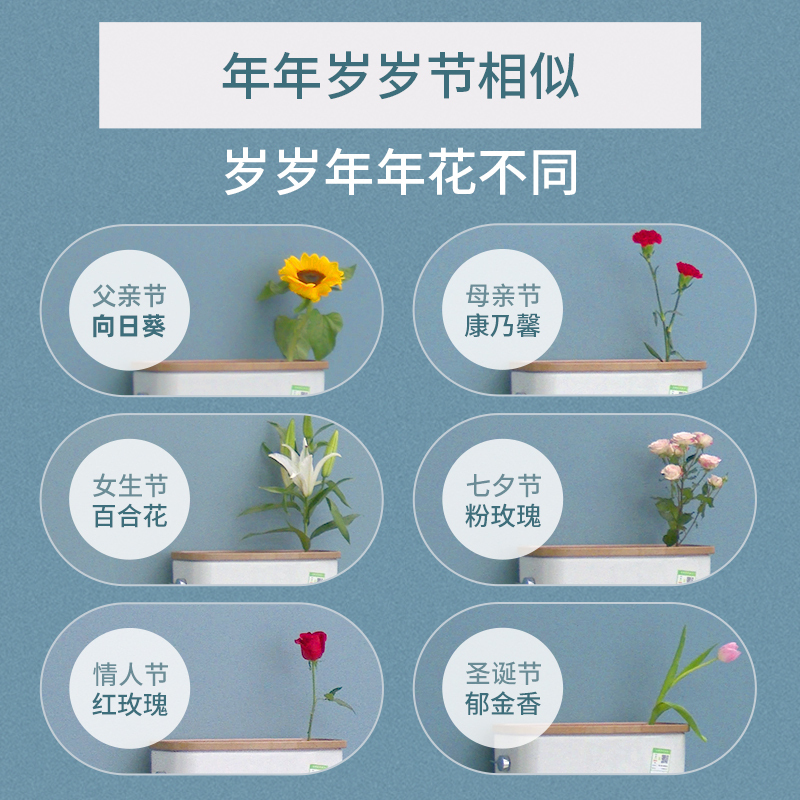 科勒官方家用座厕五级旋风缓降分体座便器瑞琦插花马桶18643