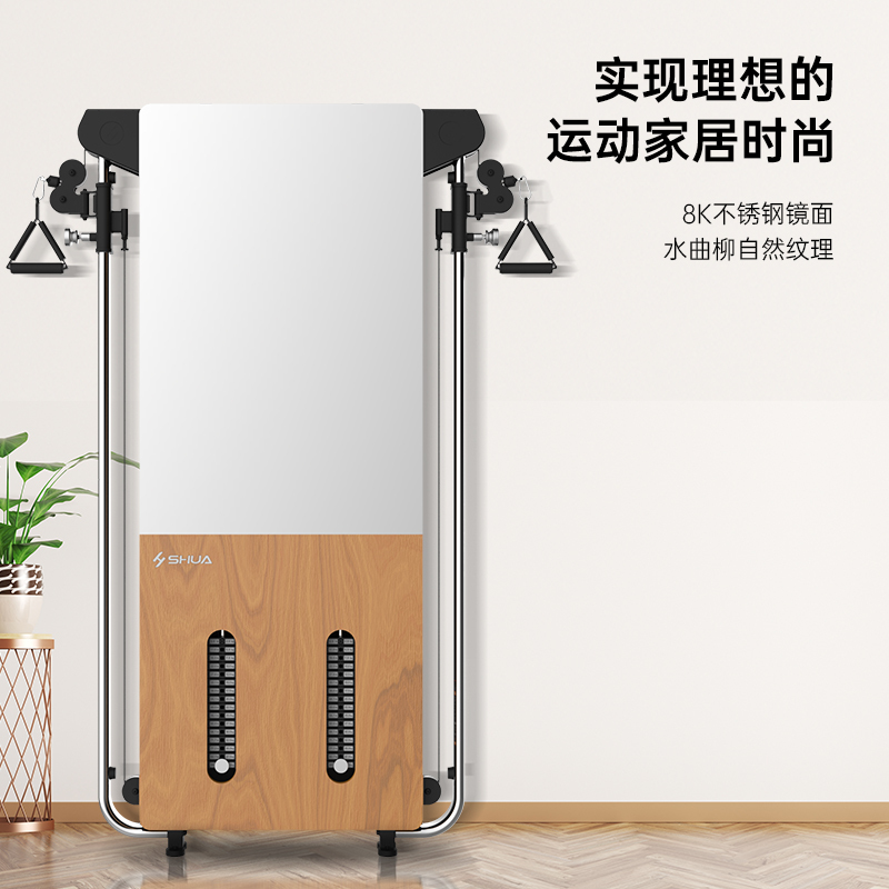 舒华 壁挂式拉绳训练器 SH-G699高清大图