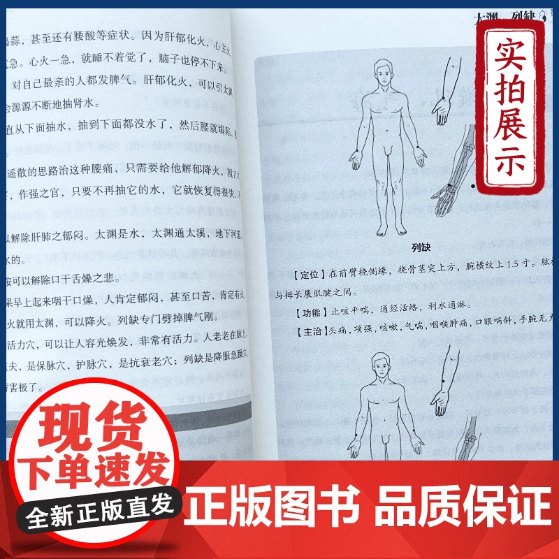 玉龙赋 轻松学歌赋 曾培杰 中医药中医基础理论穴位中医针灸学中医养生歌赋口诀中医入门书医学传习录中药方剂病因赋中医脉理新高清大图