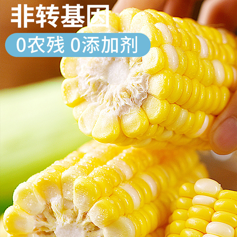 冠町 云南水果甜玉米3斤装[约4根]新鲜蔬菜健康轻食