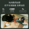 筋膜枪