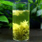 中闽与恩2026年新茶浓香型茉莉花茶散装袋装花茶250克