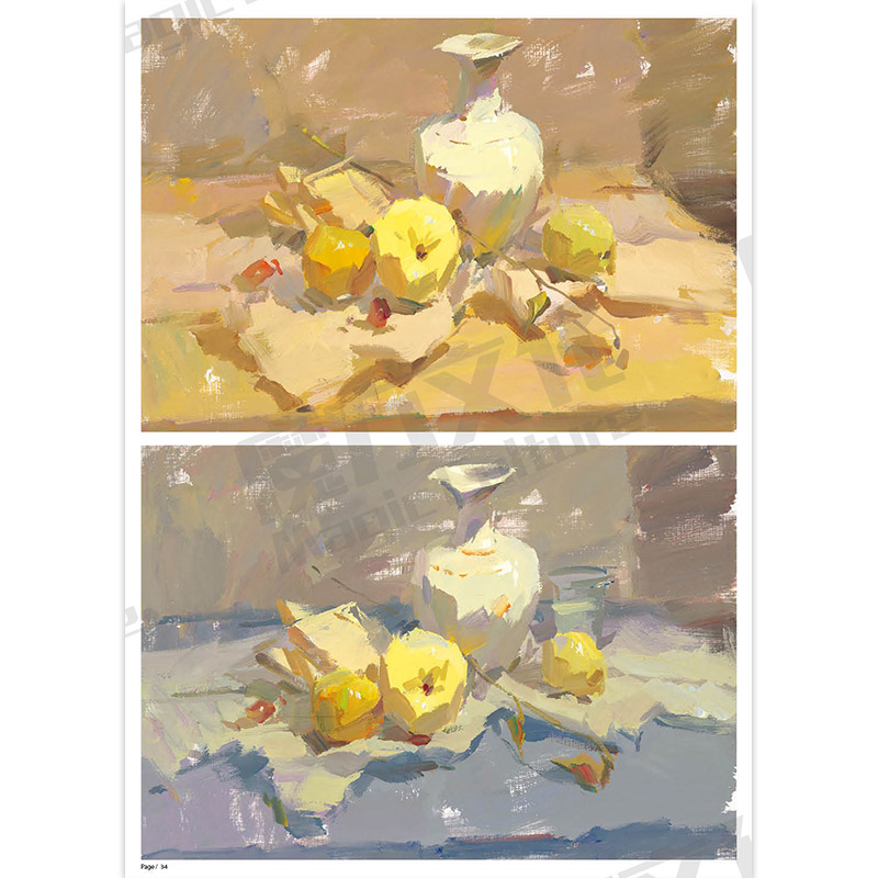 [正版]魔版色彩静物2019魔方文化刘志文单体组合水粉色彩静物临摹范本基础完整色稿色调照片对画范画写生技法校联高考美术高清大图