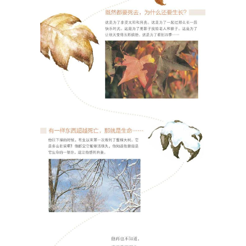 正版新书]一片叶子落下来利奥·巴斯卡利亚 著 任溶溶 译97875442高清大图