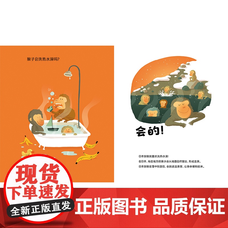 青蛙喝热巧克力吗? 动物的保暖小妙招3-6岁儿童图画书 动物如何保暖?一本书讲透动物的“适应性特征”高清大图