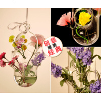 创意欧式悬挂玻璃多孔药丸花瓶水培花器时尚家居饰品