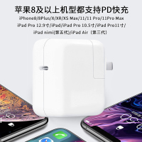Apple苹果原装充电器iPhone11 Pro Max快充头 30W USB-C充电器+2米闪电转USB-C充电线