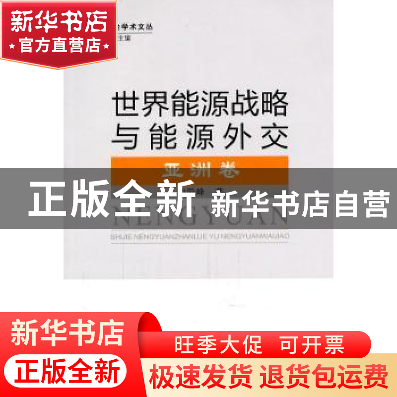 正版 世界能源战略与能源外交:亚洲卷 申险峰 知识产权出版社 978高清大图
