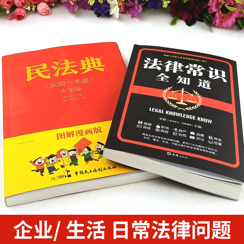 [正版]漫画民法典2021年 图解民法典 实用一本通大字版图解漫画版 民法典法律常识收录社会生活中的常见普遍法律问题 典高清大图