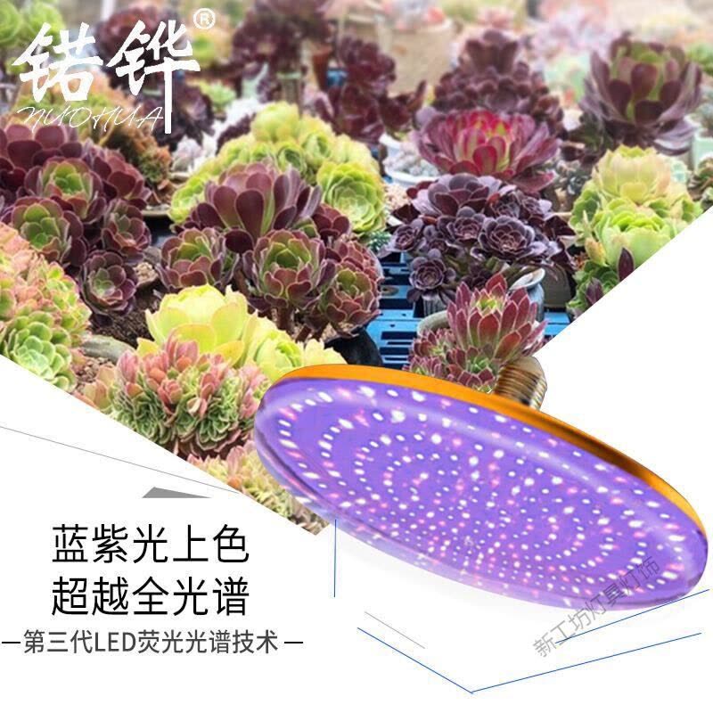 苏宁放心购 多肉植物紫外线生长灯室内日照防徒上色花卉全光谱led多肉补光灯图片