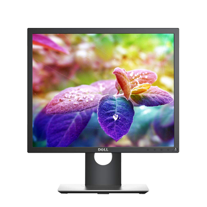 戴尔(DELL)19英寸 商用办公电脑显示器 IPS滤蓝光 背光不闪 旋转升降5:4正屏 DP/HDMI/VGA/USB扩展 P1917S