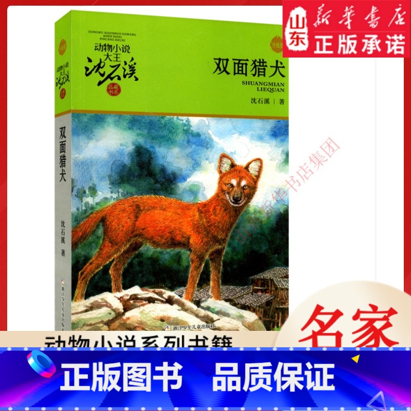 双面猎犬 [正版]书店 双面猎犬 动物小说大王沈石溪·品藏书系 中/小学生阅读少儿读物 儿童文学高清大图