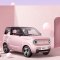 吉利 熊猫mini 2023款200km耐力熊 纯电动 新能源 微型车 汽车