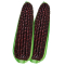 甜糯182玉米种子50克原装 各种水果玉米鲜食玉米种子甜加糯甜粘彩甜糯玉米种子水果蔬菜种子