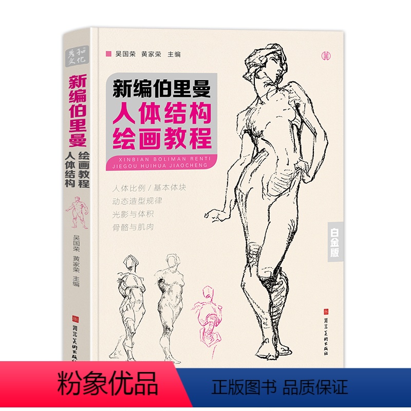 新编伯里曼人体结构绘画教程 【正版】新编伯里曼人体结构绘画教学人物速写临摹本教程书籍画册解剖动态骨骼透视练习美术艺术画画