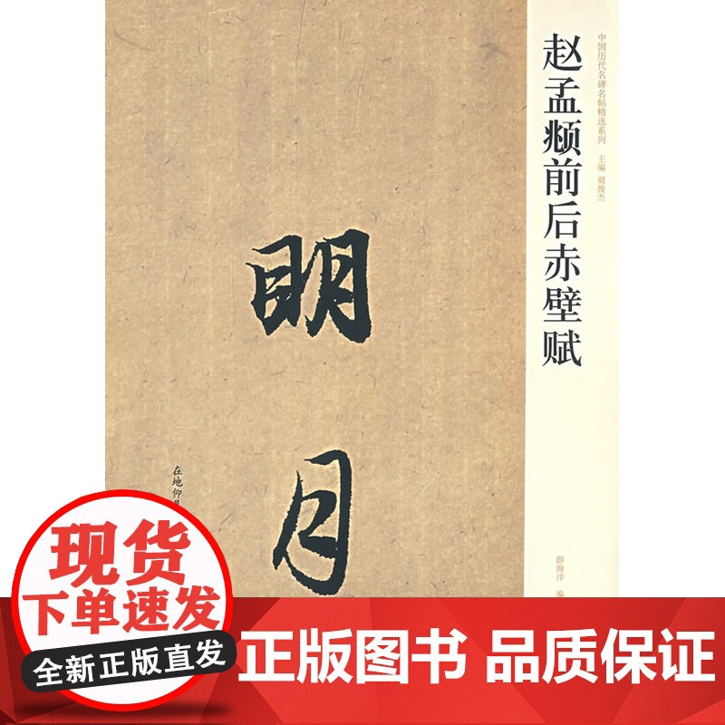赵孟俯行书前后赤壁赋 中国历代名碑名帖精选系列 赵孟頫行书字帖笔书法入门自学技法临摹鉴赏书籍 河南美术出版社高清大图