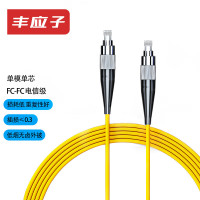 丰应子 FYZ-GT29L 单模单芯FC-FC 5米 光纤跳线