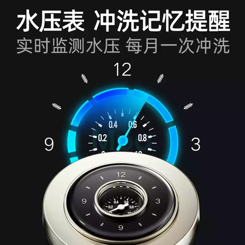 德国德克西X8-1 中央前置过滤器 双层40微米滤网 家用大流量反冲洗 全屋净水器(赠接头,不含安装)高清大图