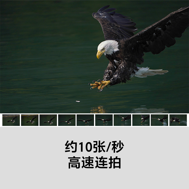 DJI A7rm3索尼相机套装含FE 70-300mm镜头+ 24-70mm F2.8镜头+沣标UV镜+相机包+64G卡