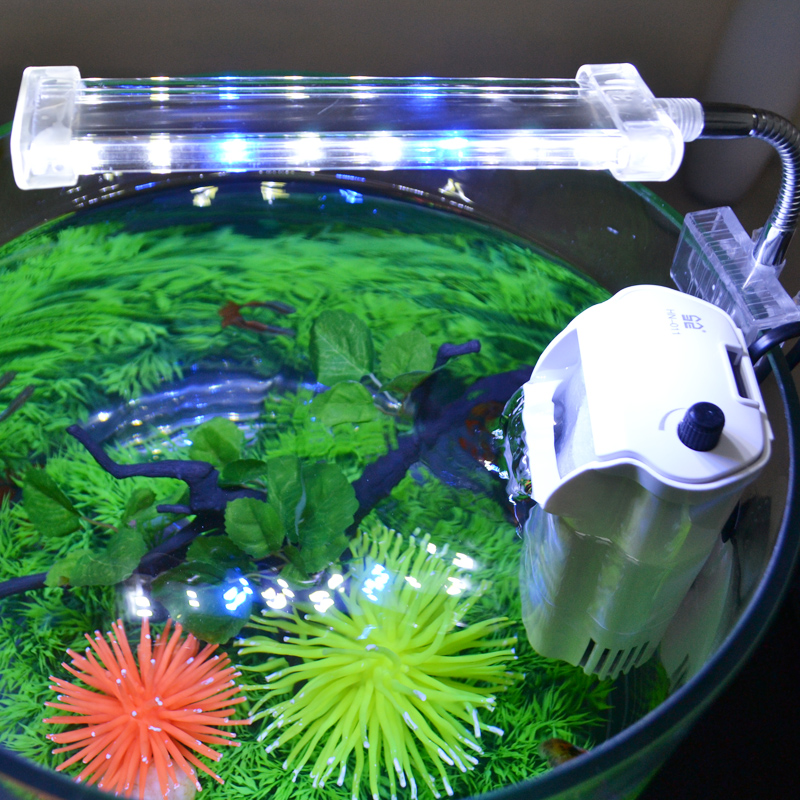 小鱼缸 小型 桌面创意生态迷你水族箱小型办公超白玻璃免换水圆形高清大图