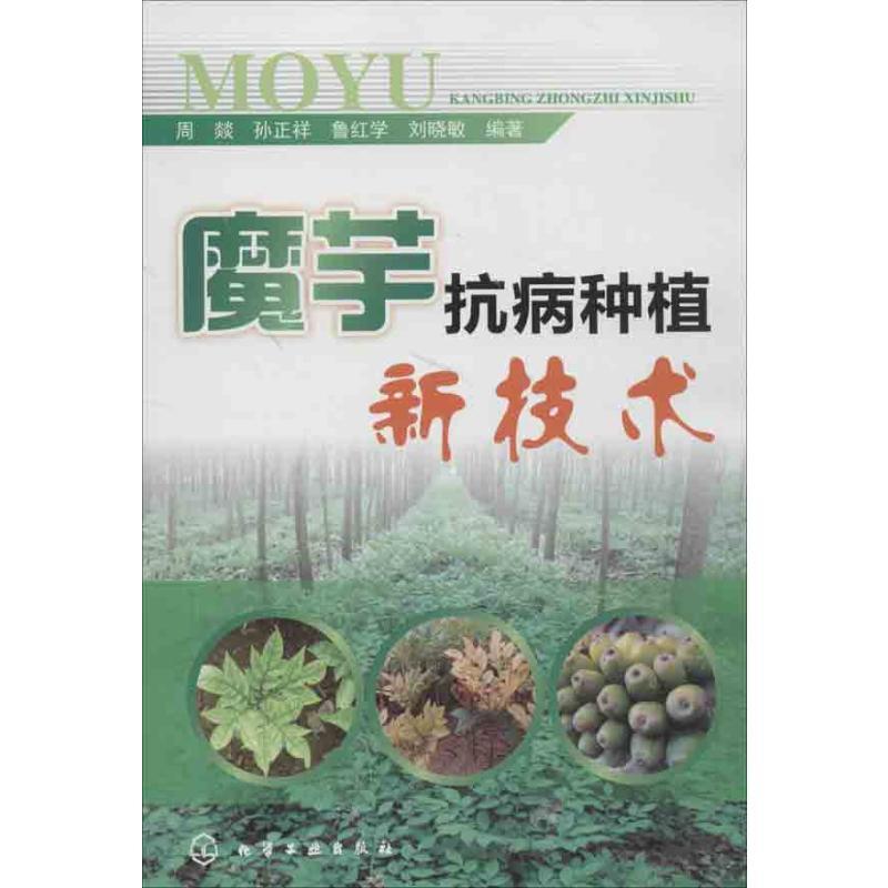 魔芋抗病种植新技术 周燚 等 著 专业科技 文轩网