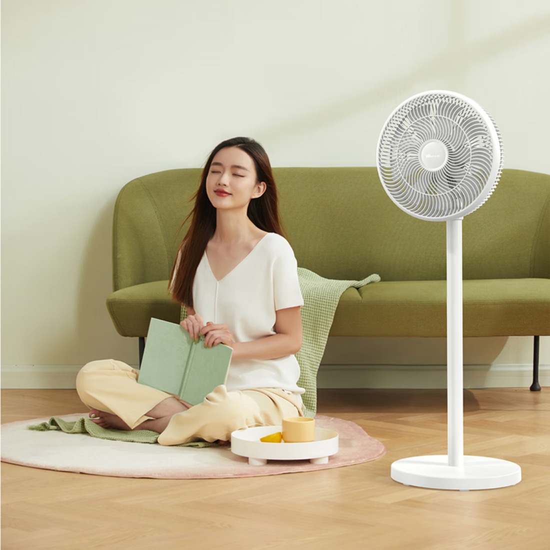 小熊(Bear)电风扇排气扇家用电扇大风力DFS-D40C3[ZMD安心系列] DFS-D40C3高清大图