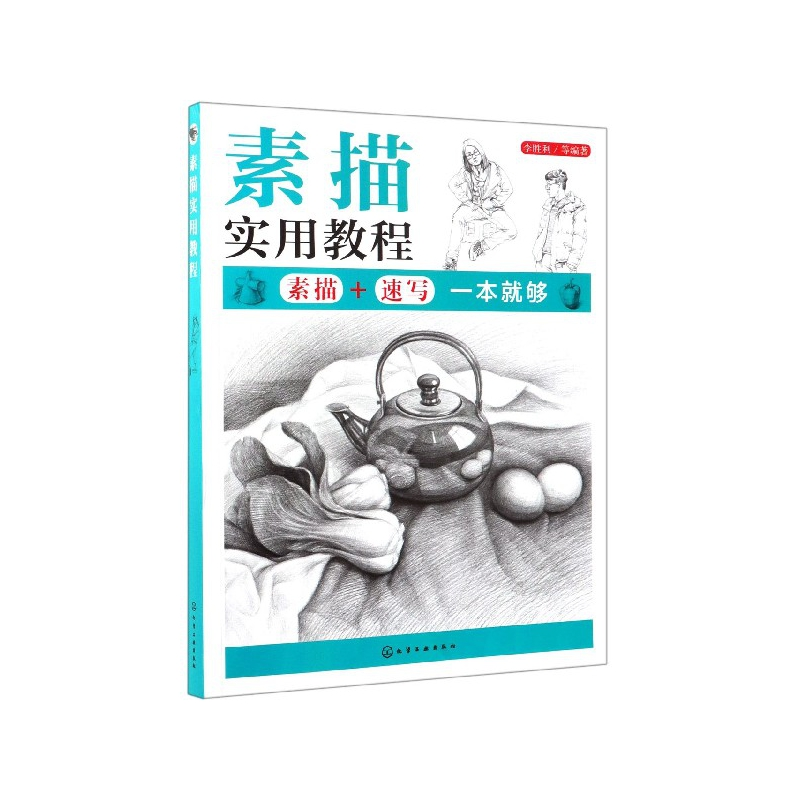 音像素描实用教程李胜利