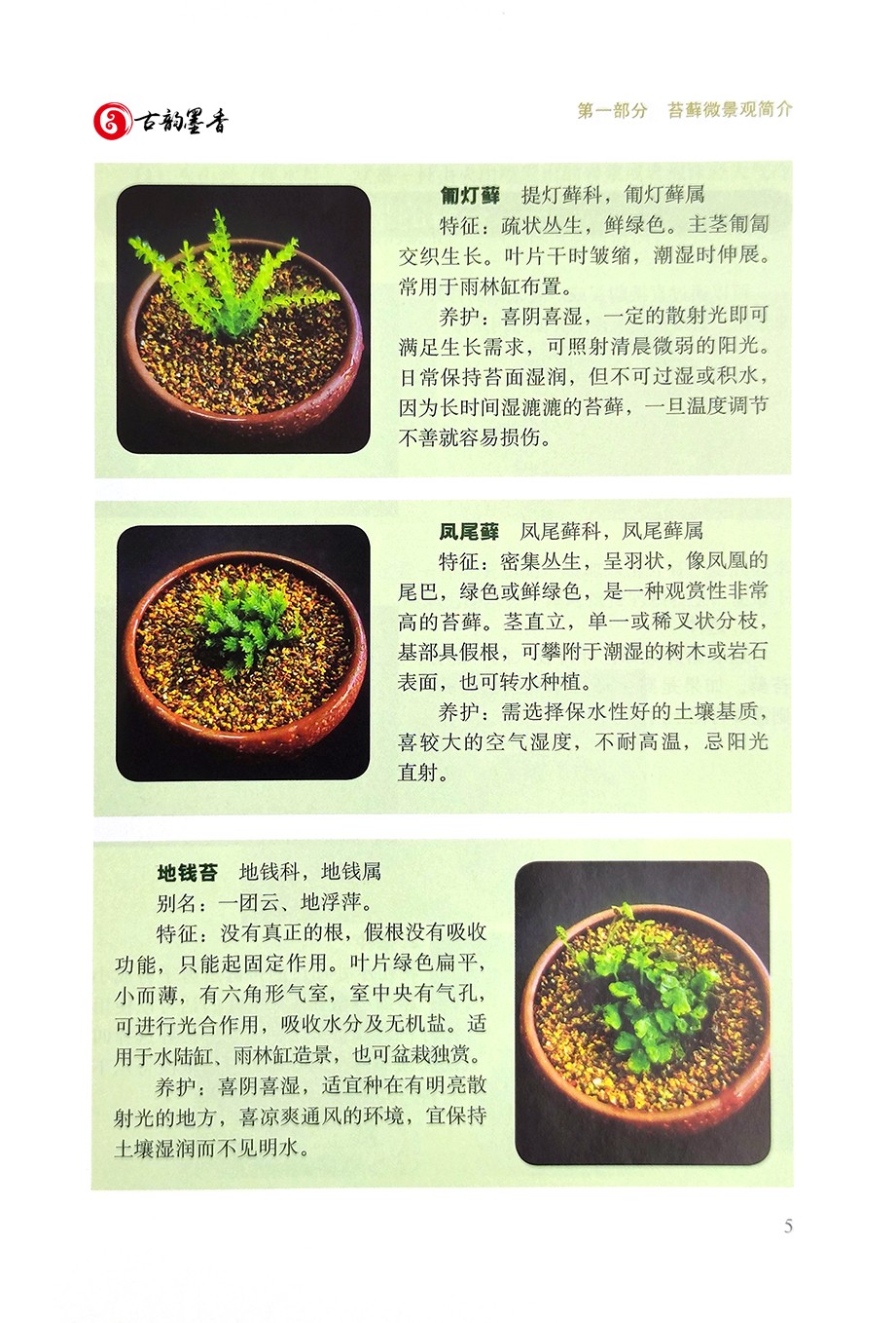 [醉染正版]正版 苔藓微景观巧制作 25770 高琼 趣味园艺丛书 家庭园艺 养花 造景艺术 苔纲 藓纲 角苔纲 苔高清大图