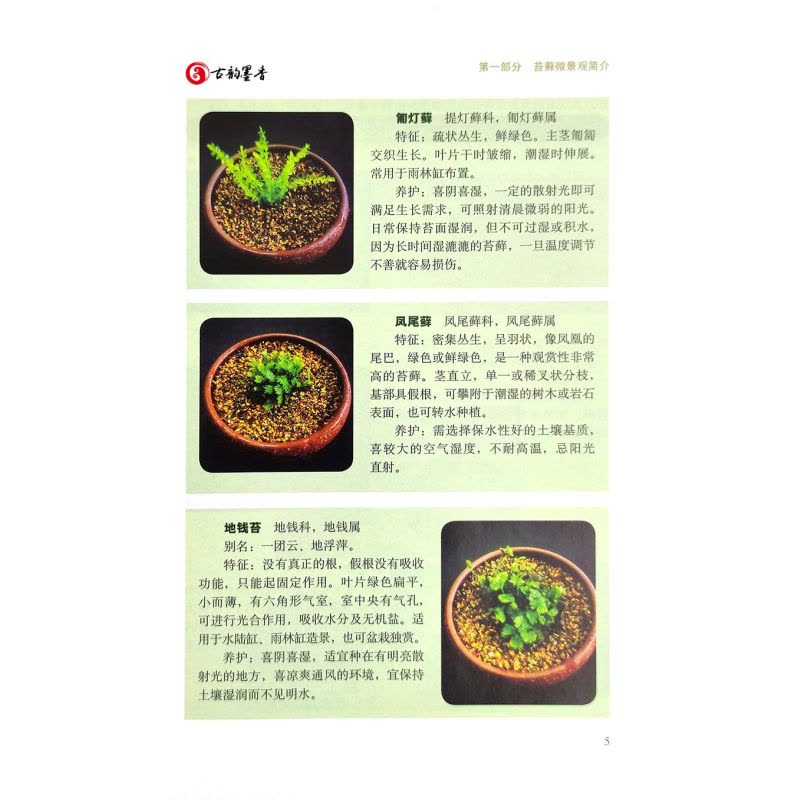[醉染正版]正版 苔藓微景观巧制作 25770 高琼 趣味园艺丛书 家庭园艺 养花 造景艺术 苔纲 藓纲 角苔纲 苔图片